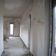 IMG_9291